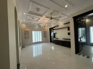 458116947-800×600-1