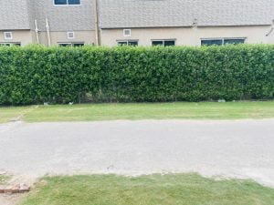 WhatsApp-Image-2021-04-06-at-4.58.06-AM-1