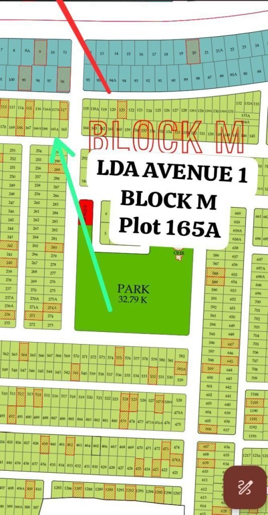 WhatsApp-Image-2024-07-13-at-11.52.31-AM