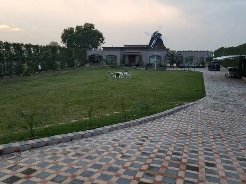 242895839-800×600-1