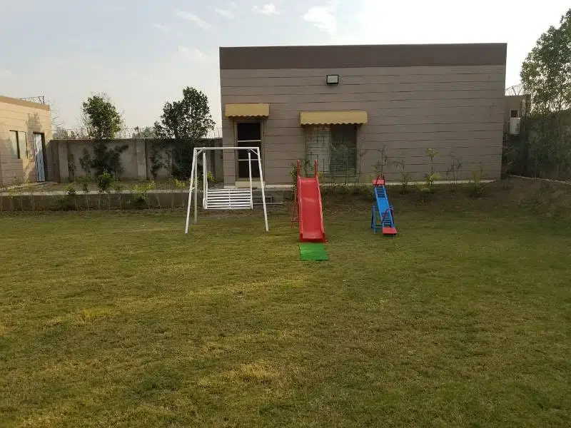 242895841-800×600-1